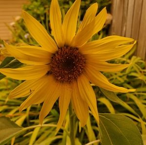 Meet your Posher, Margaret